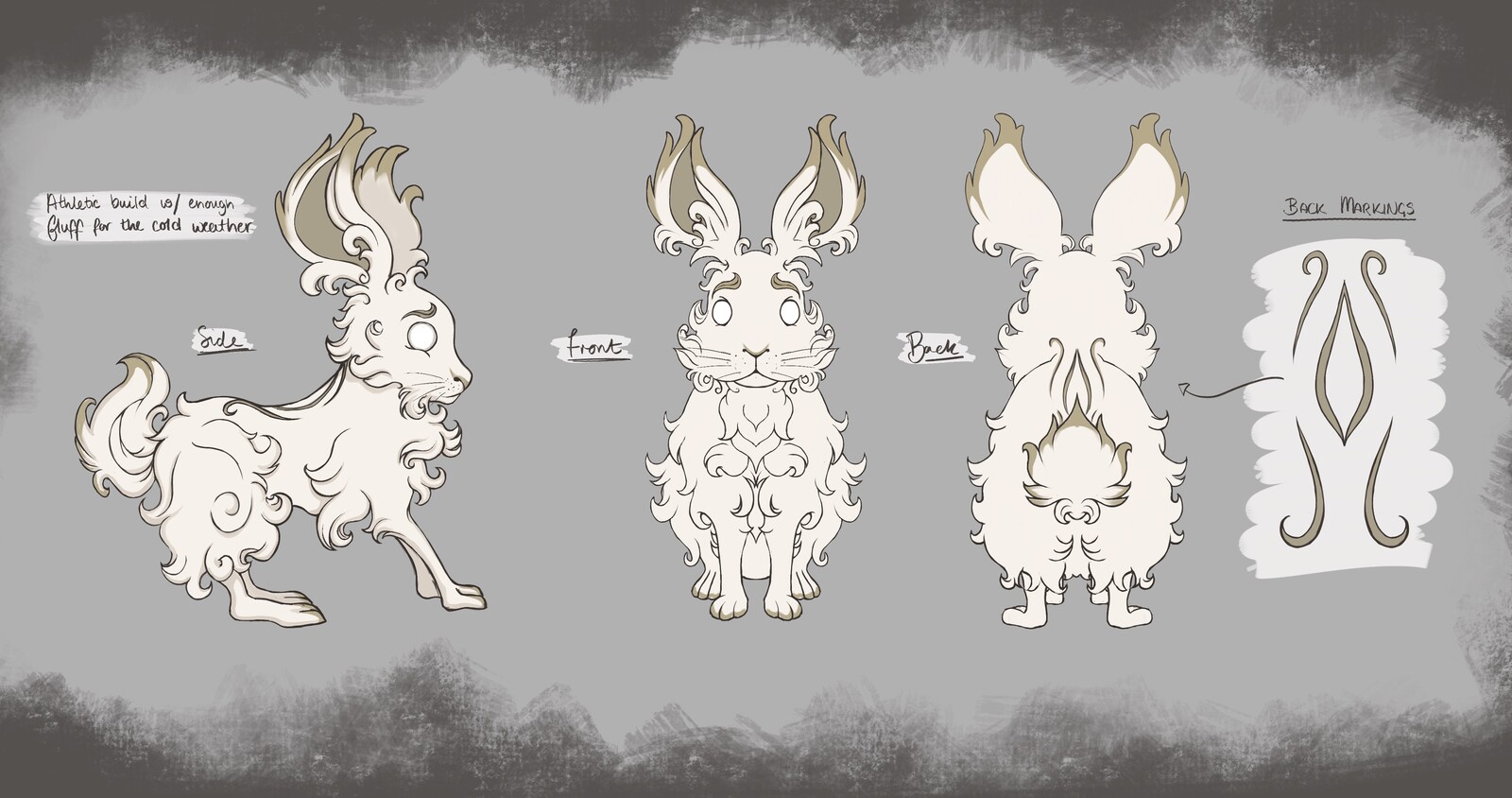 Foques | Animal Model Sheets