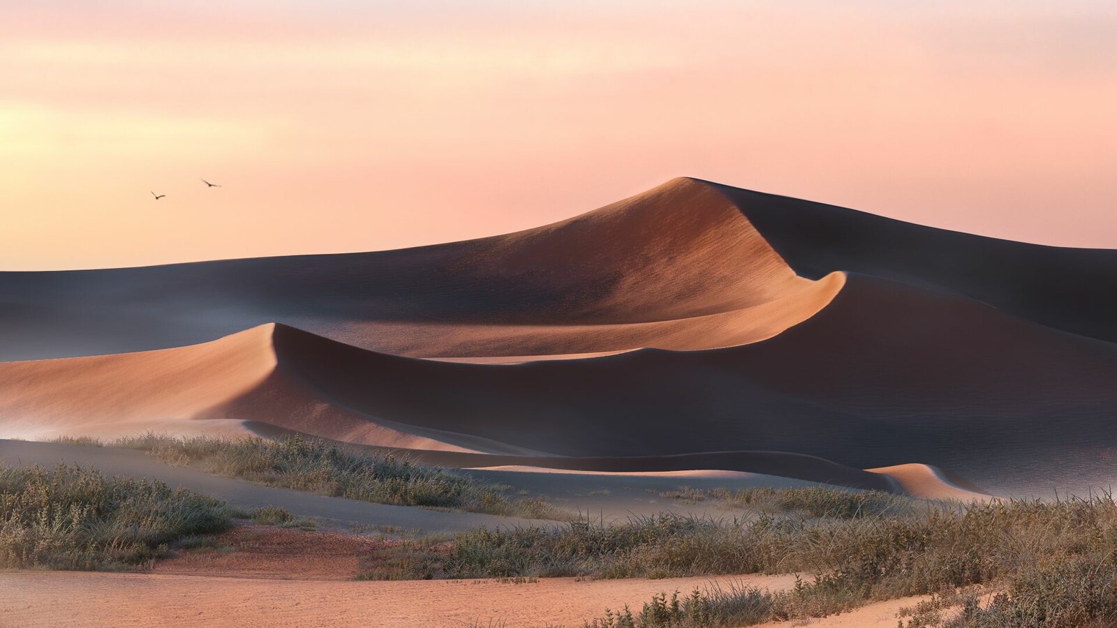 Render 005