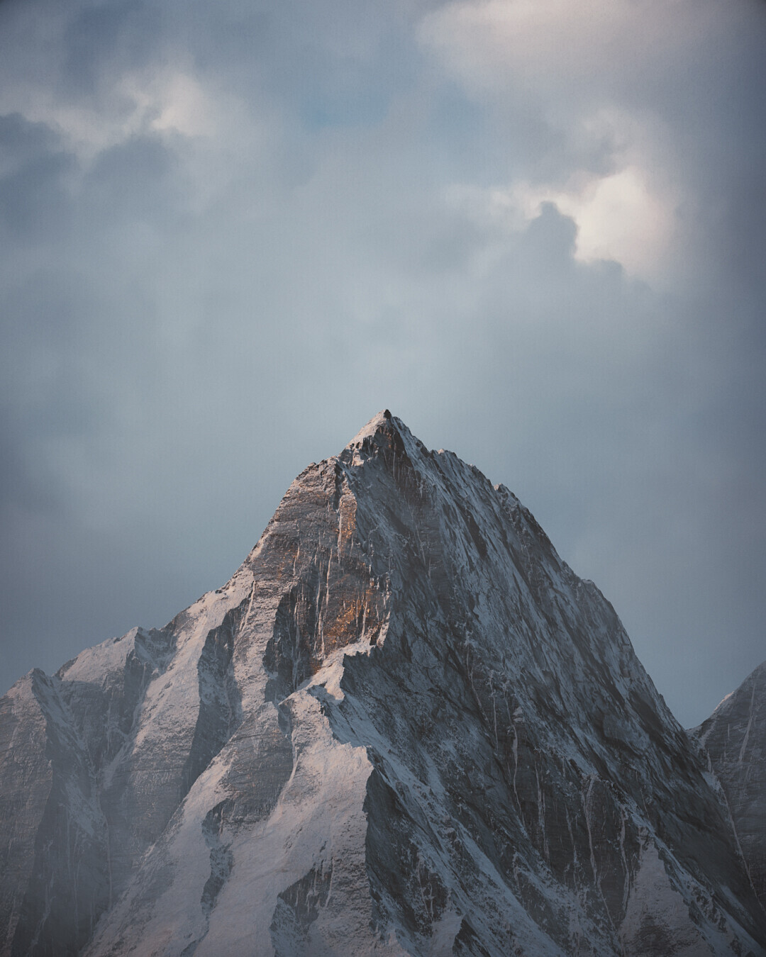 Render 010