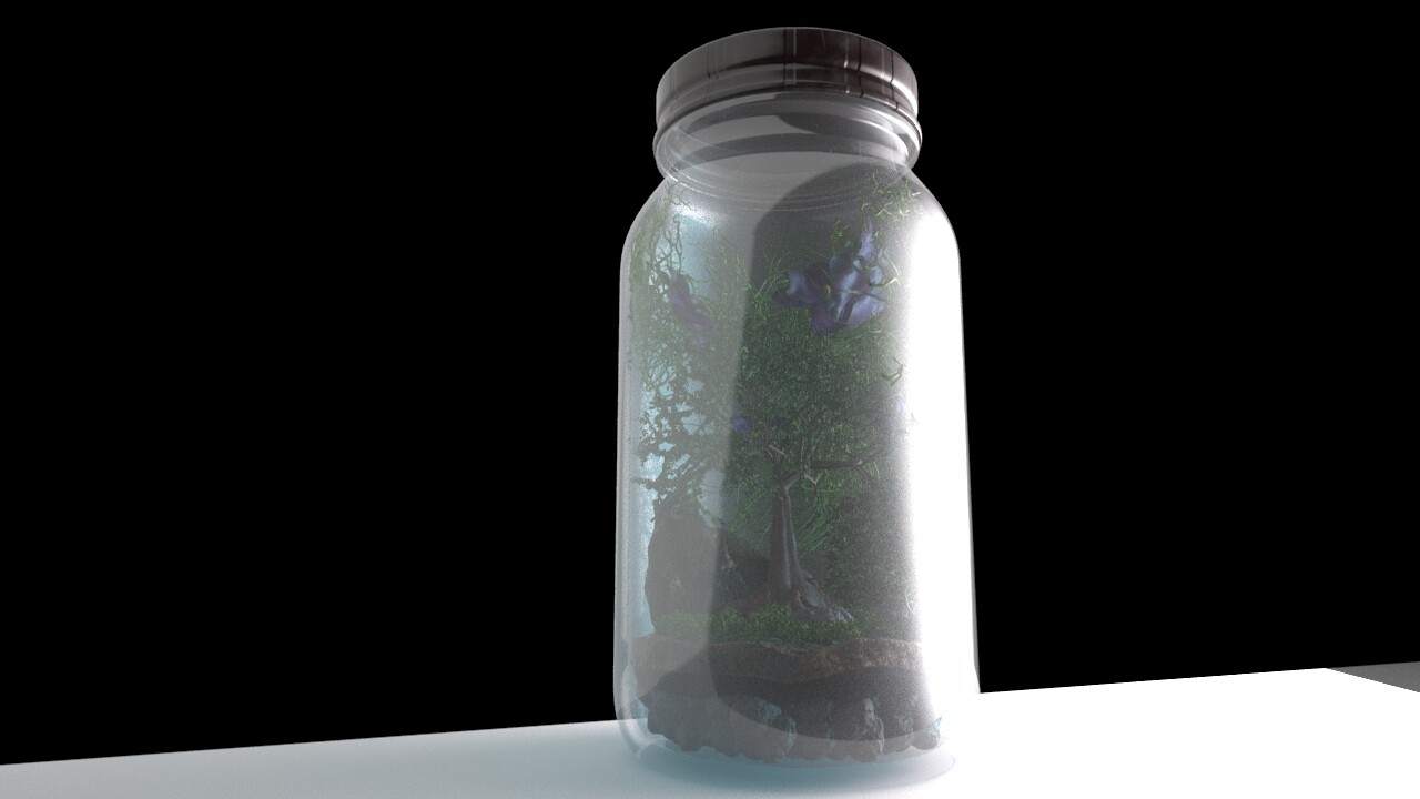What the terrarium looked on the outside.