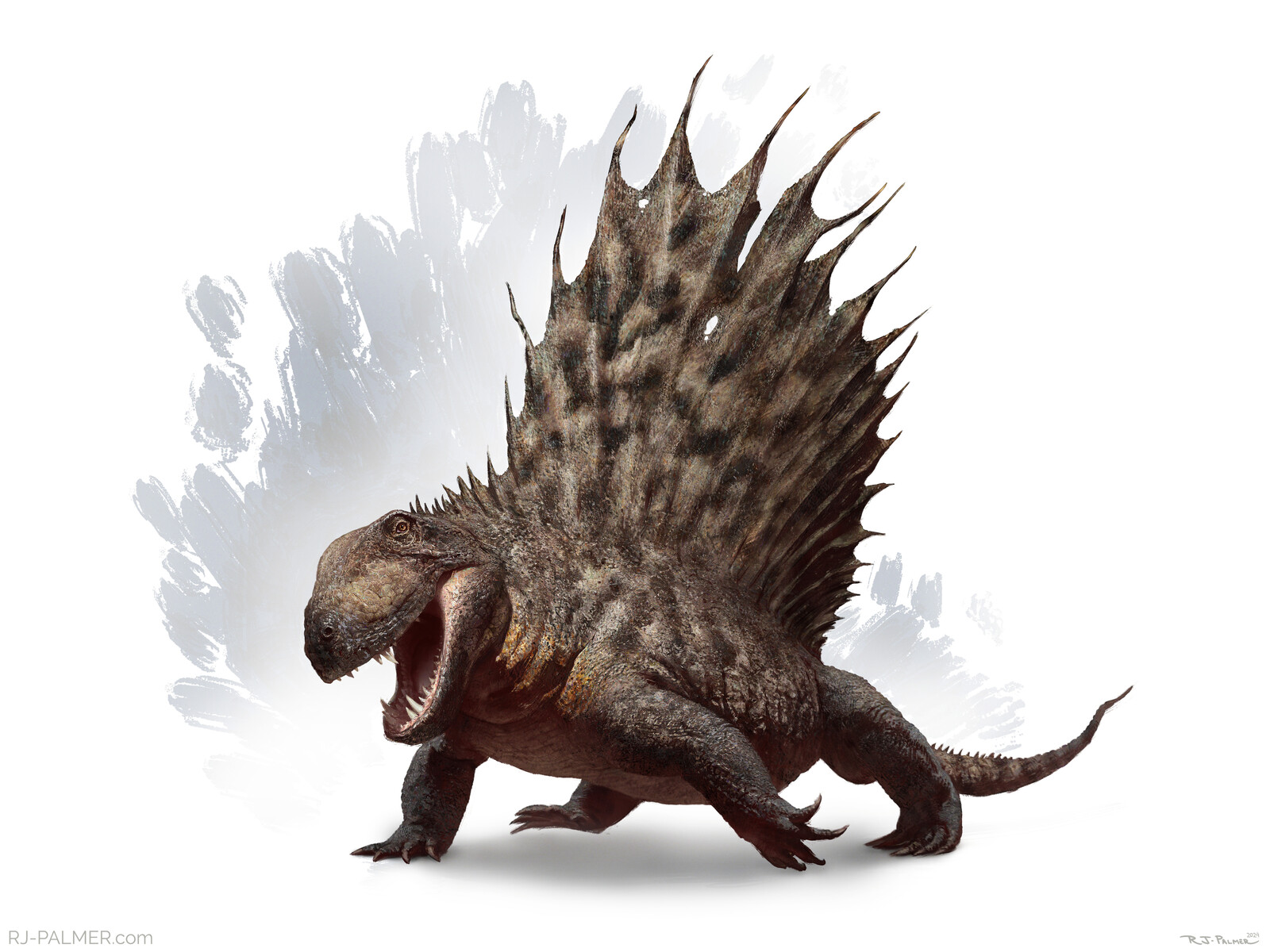 Dimetrodon