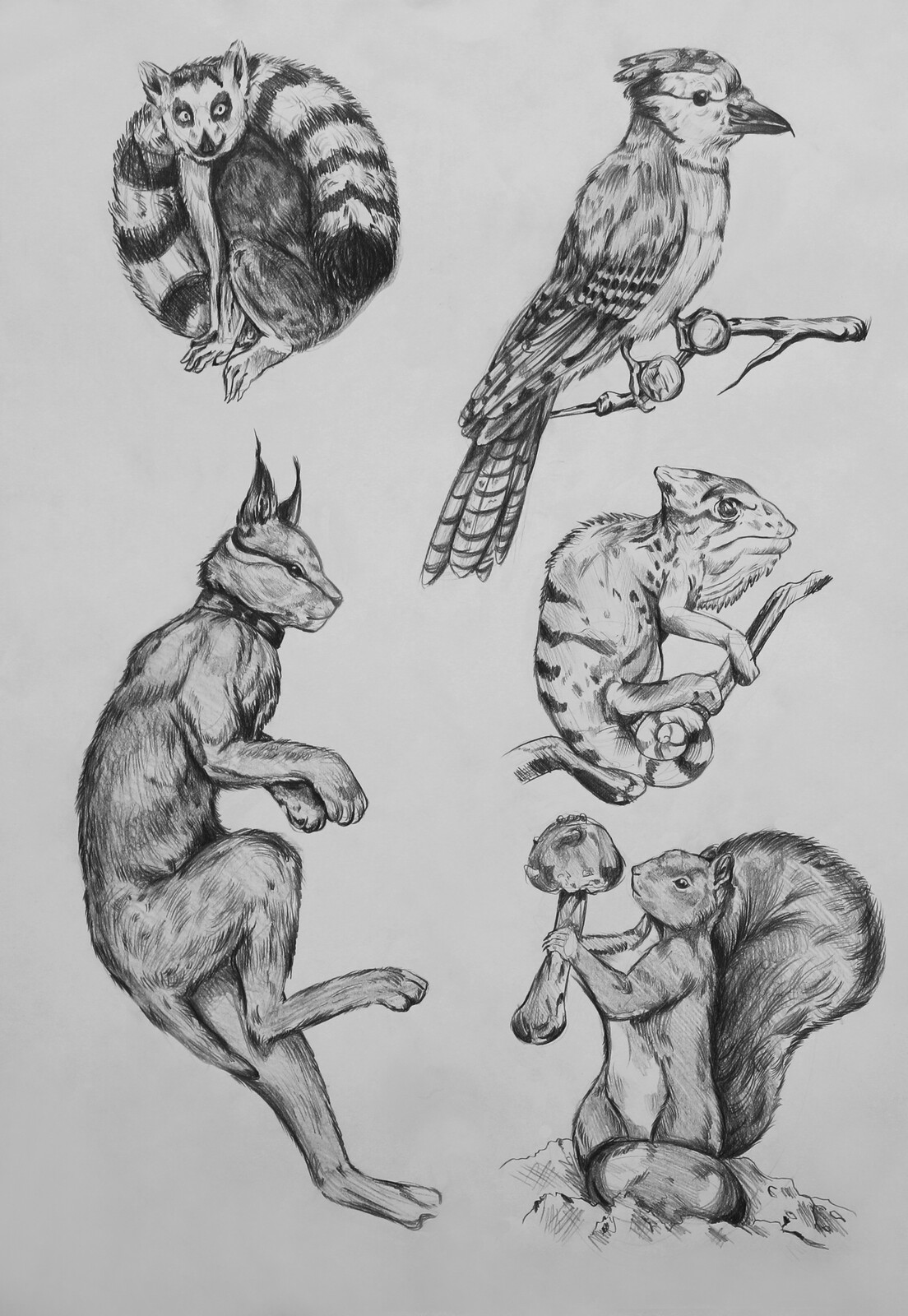 Barış Asil SÜMER / Figure Drawing for Animation 