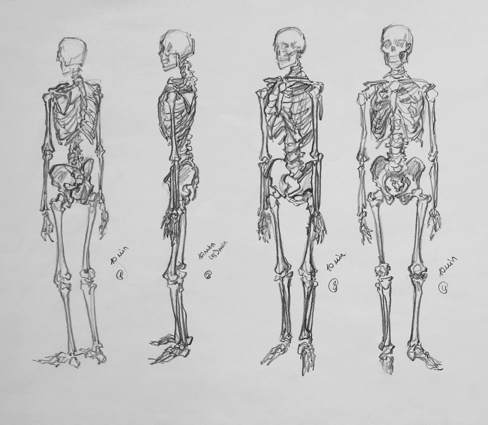 Berrak SAKA / Figure Drawing for Animation