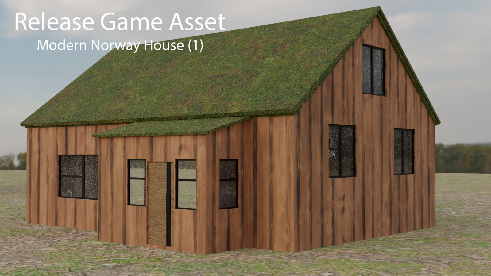 Modern Norway House
