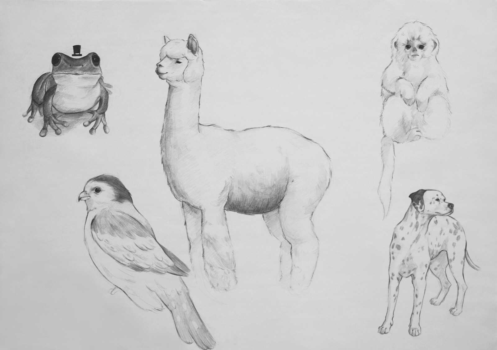 İdil BATMAZ / Figure Drawing for Animation