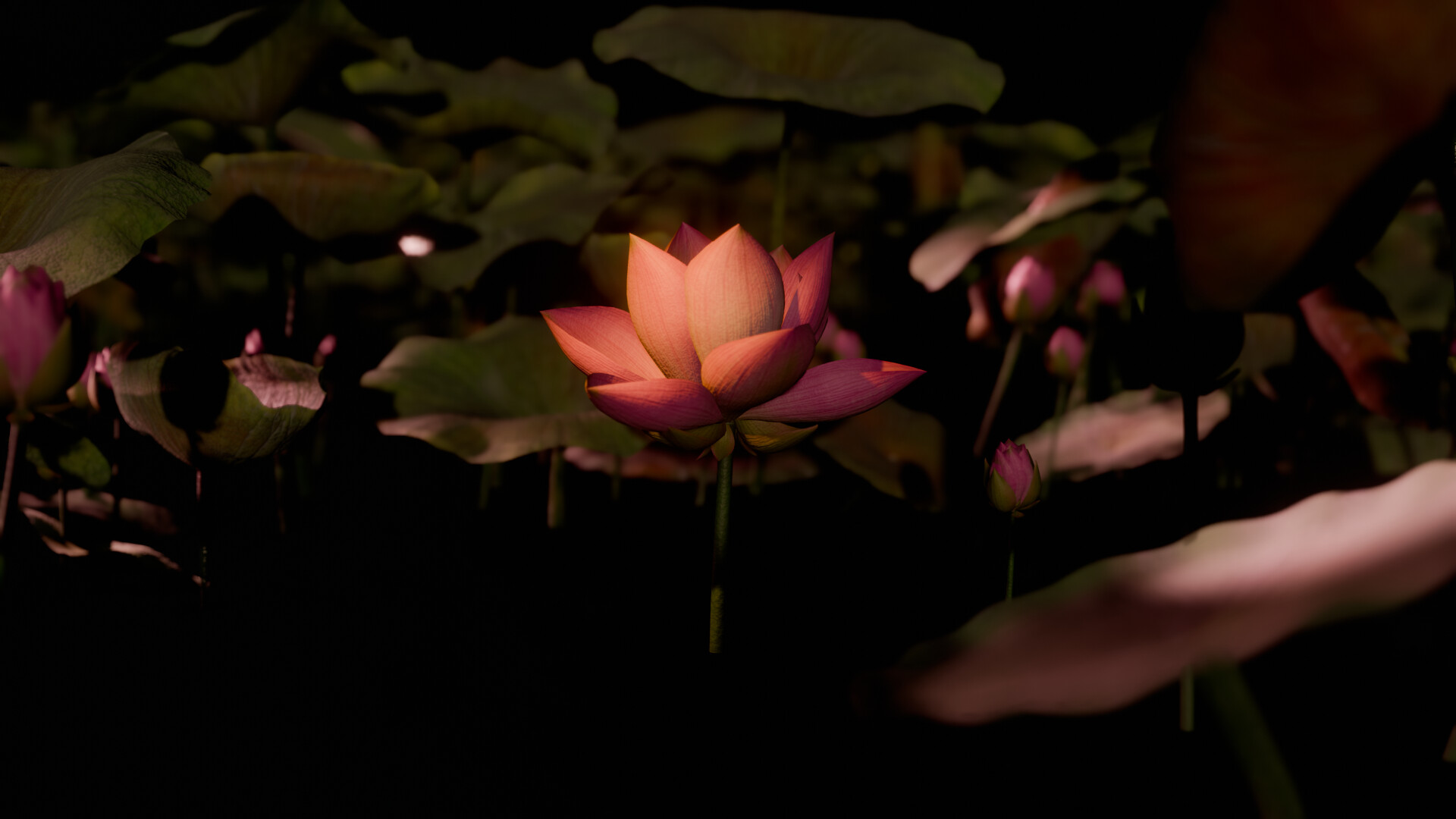 ArtStation - Lotus pond intro