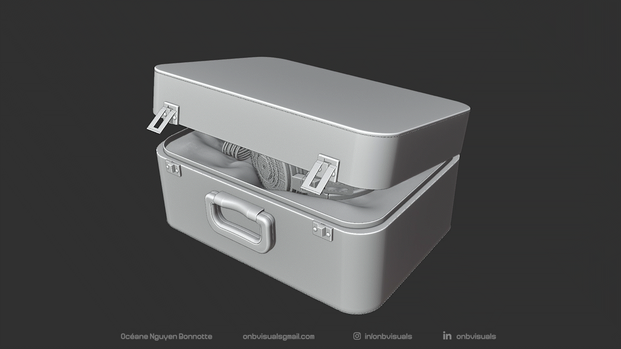 Carrying case rigging