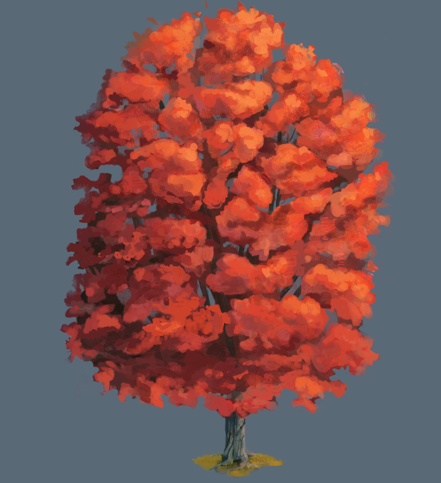 Red Maple Asset Standalone