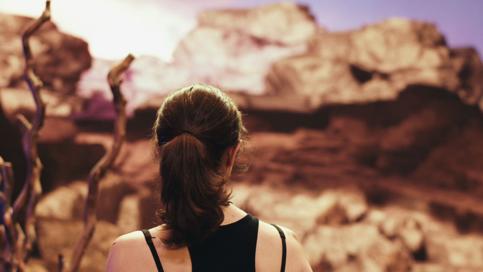 "The Last 48"
ICVFX Virtual Production
Desert Landscape