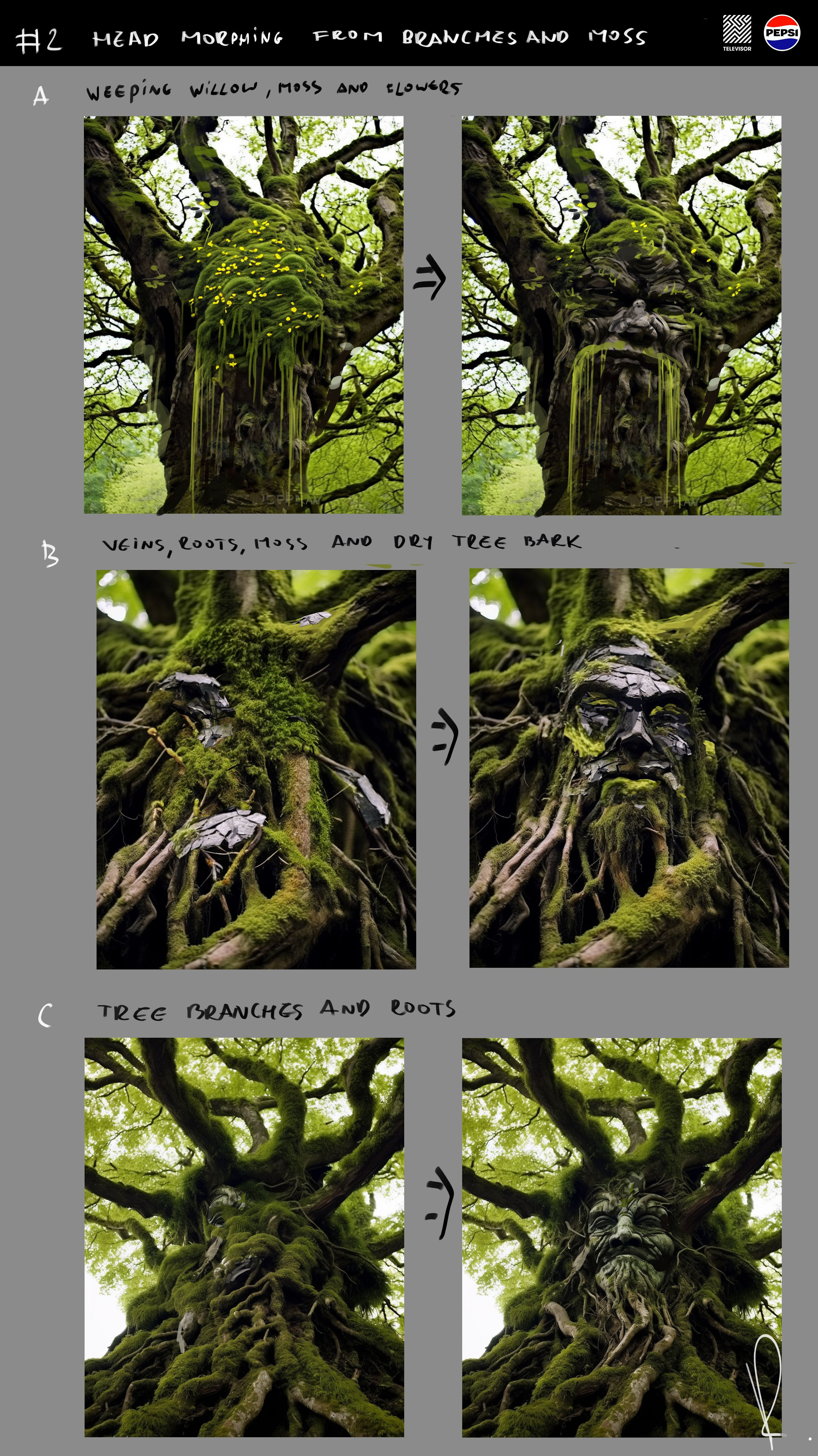 unveiling from the tree concept