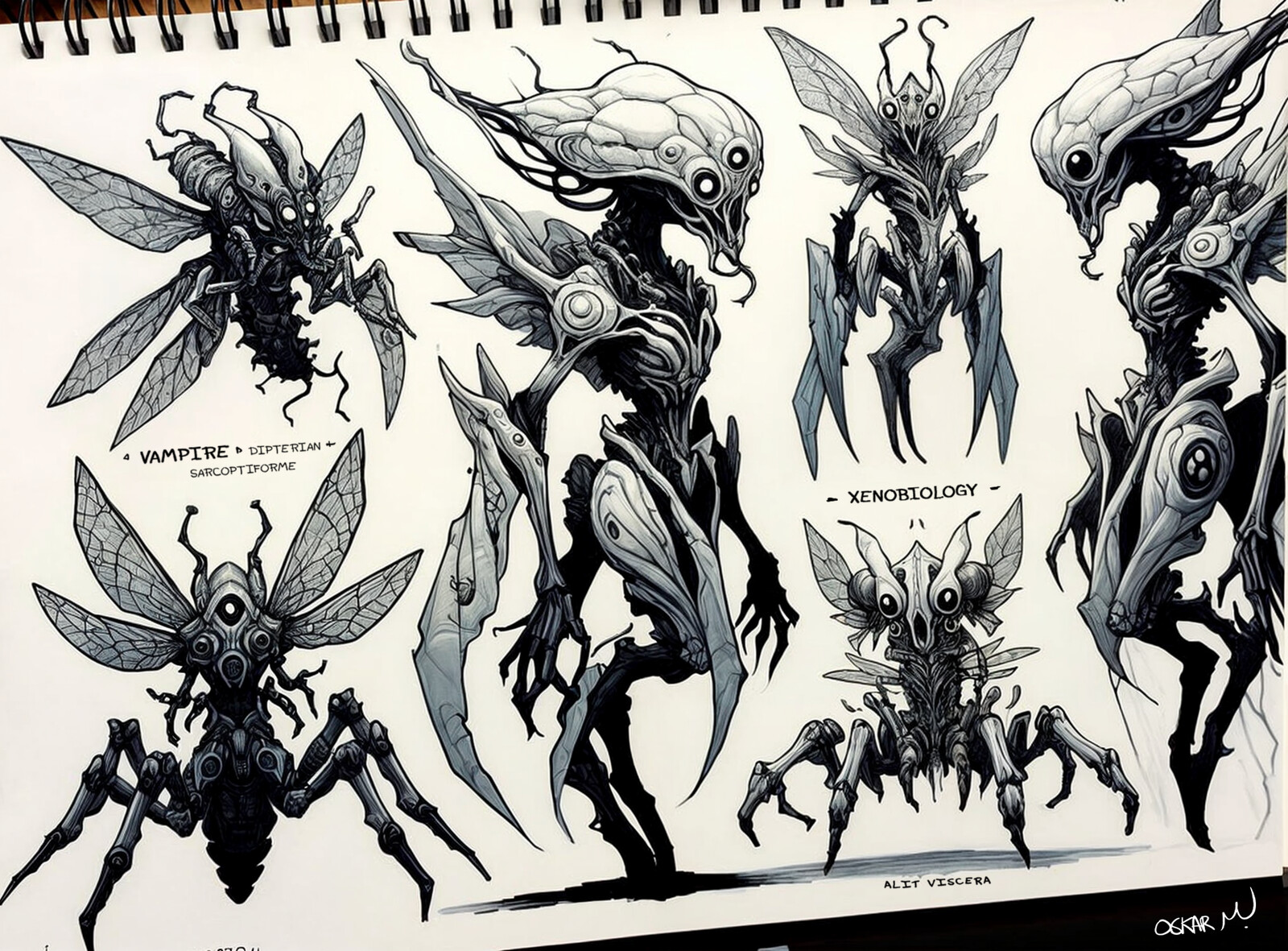 Dipterian Vampire