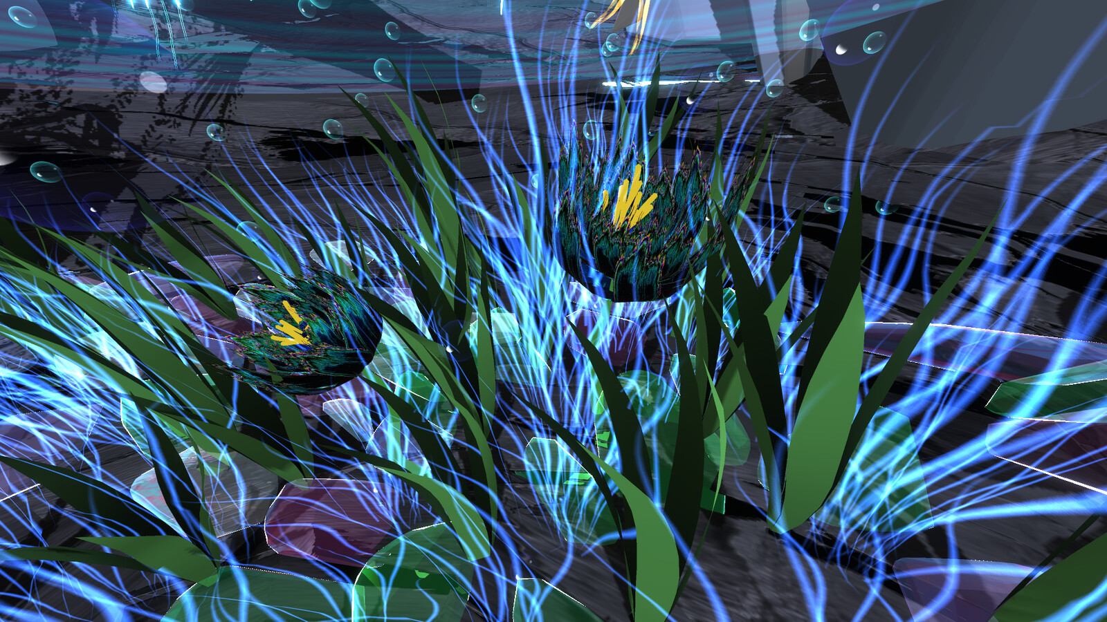 Pond flowers
