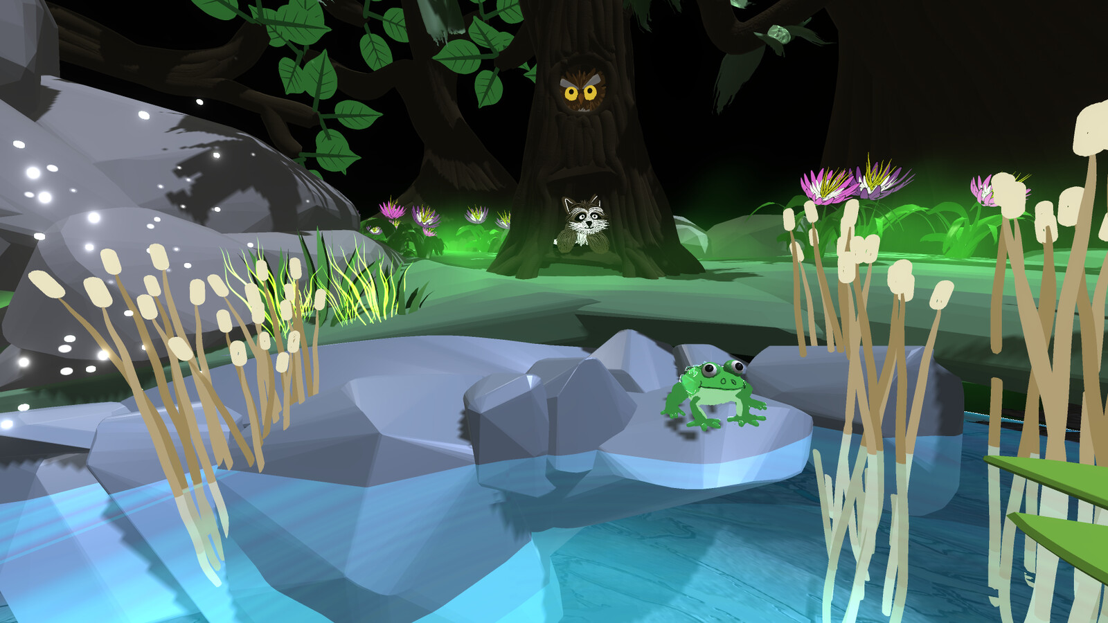 Pond