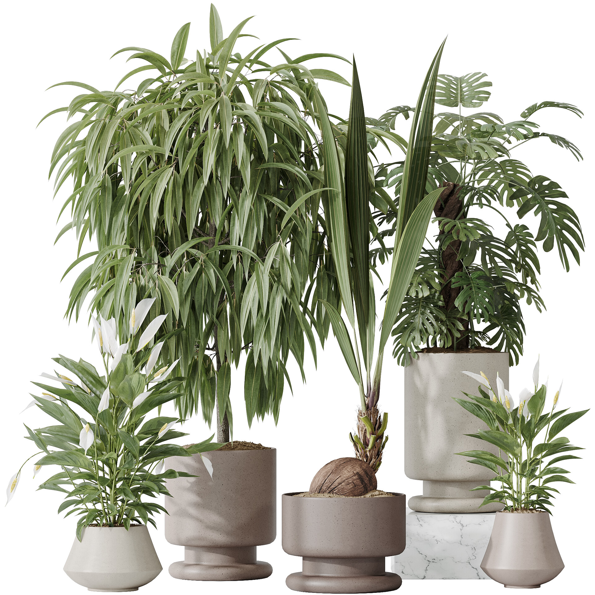 ArtStation - Indoor plant set 53