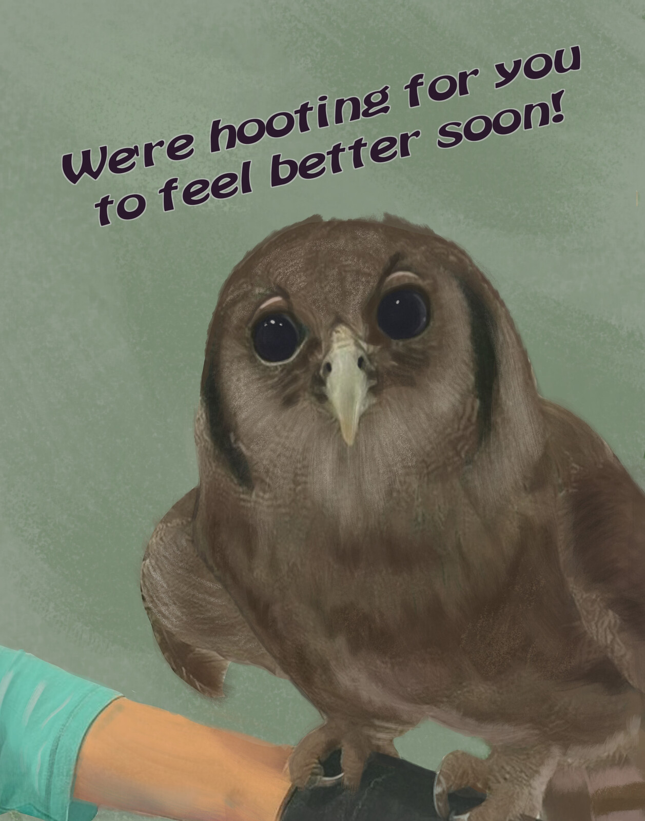Get Well Owl