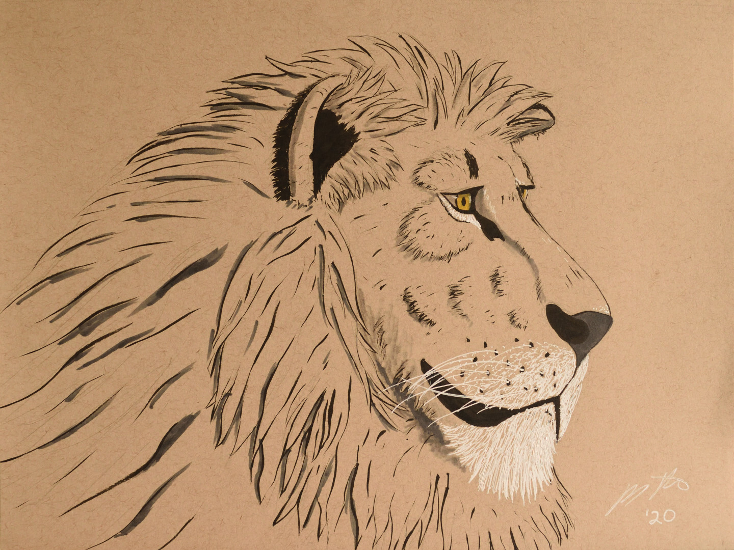 Lion on Toned Paper