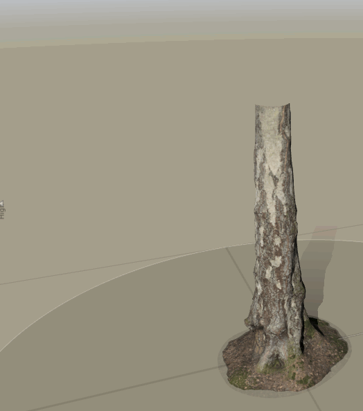 For a more realistic look of the trunks, I used SpeedTree's mesh converter tool to extend the Quixel trunks and generate materials.