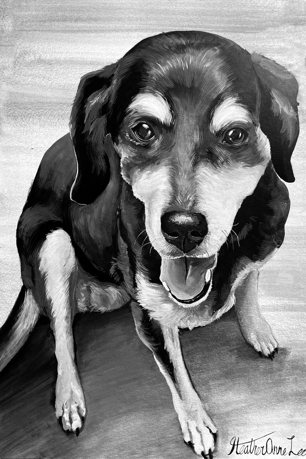 Terrier Pet Portrait