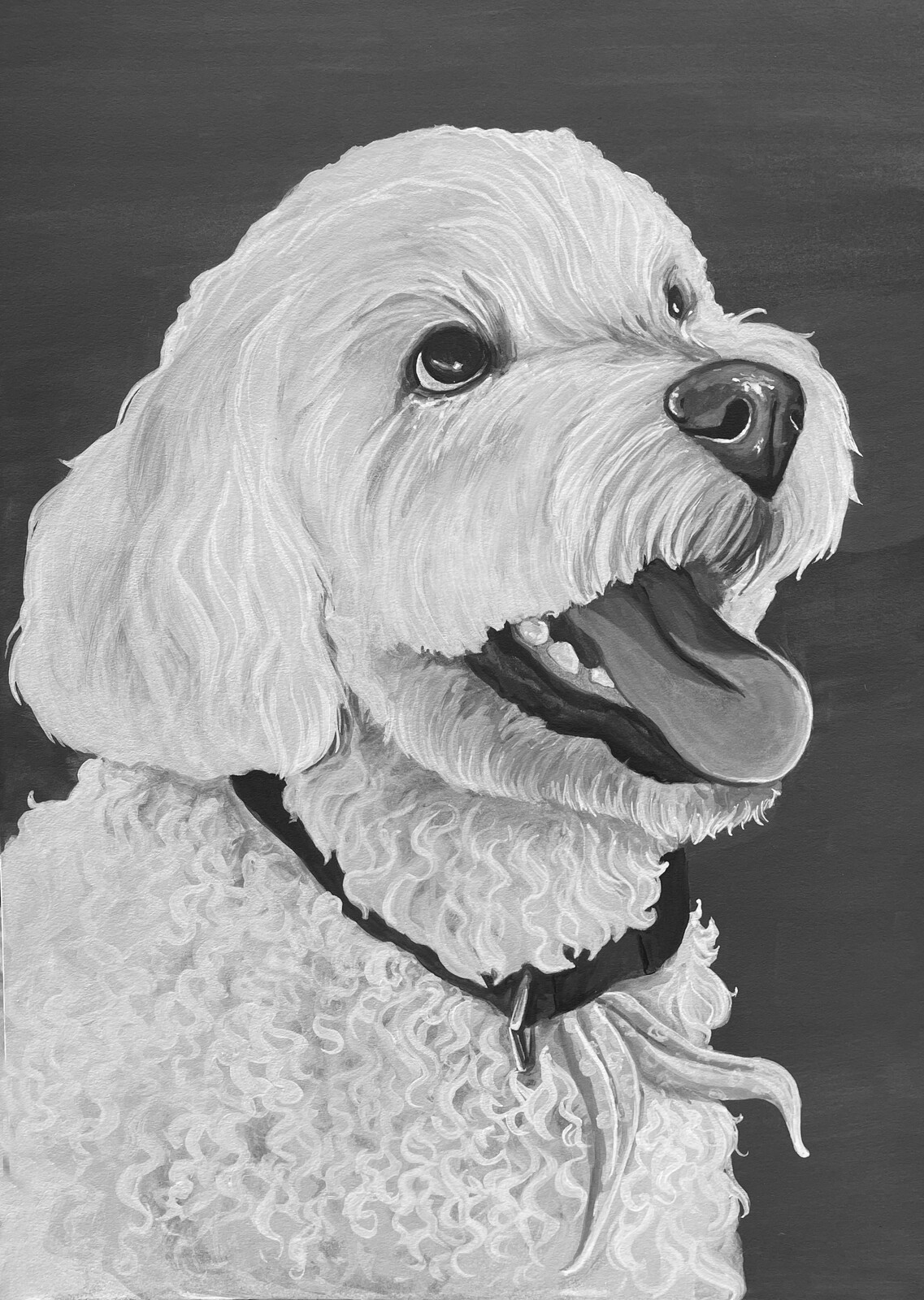 Poodle Pet Portrait