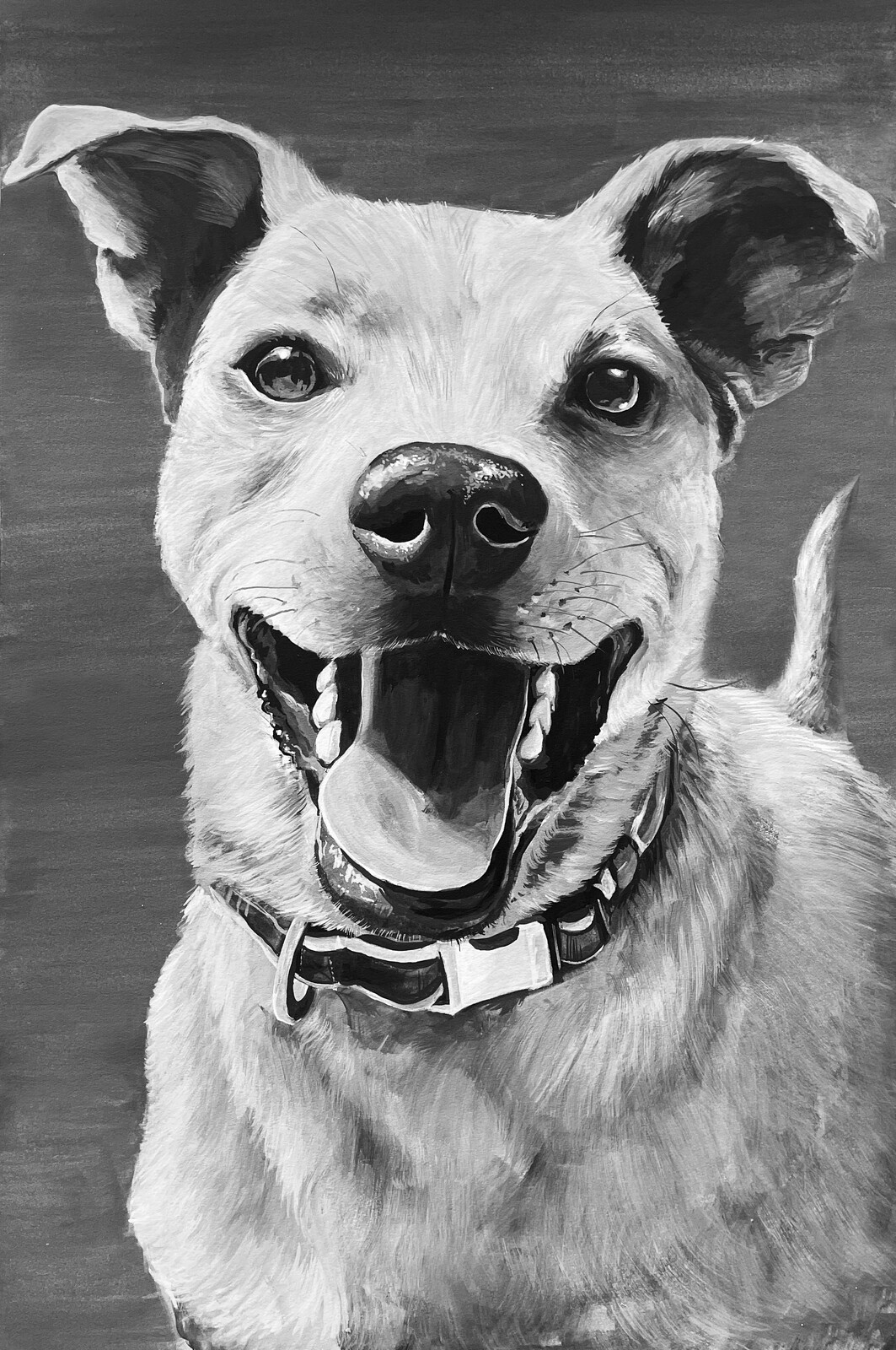 Pet Portrait