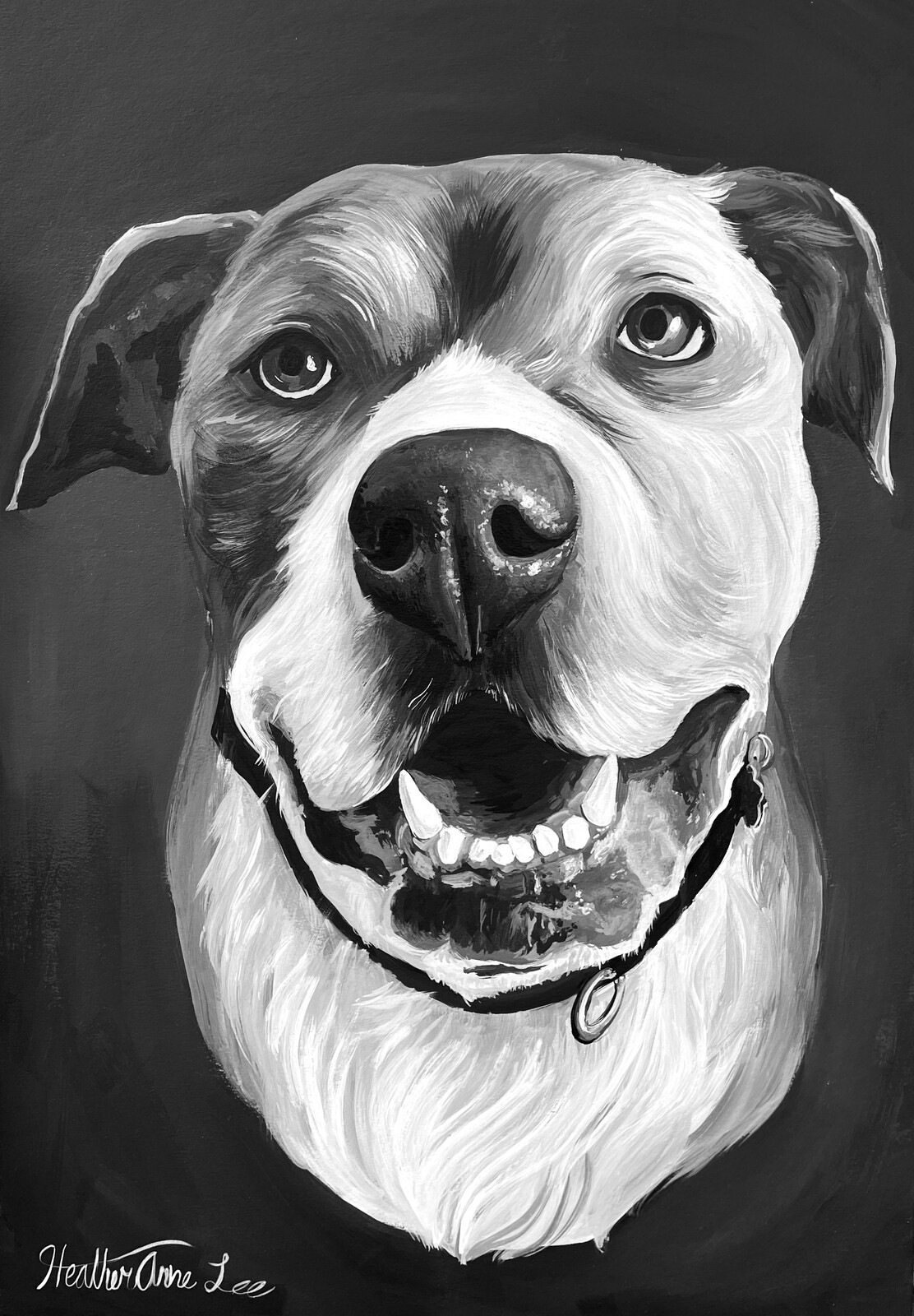 Pet Portrait