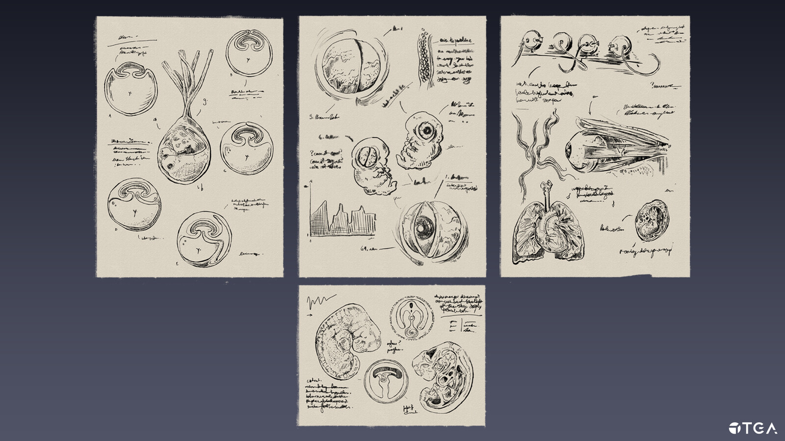 Illustrations!