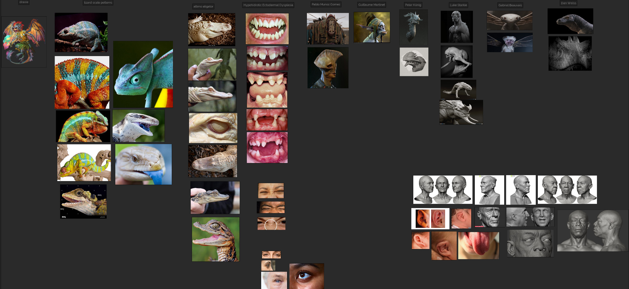 Some of the reference images I used.