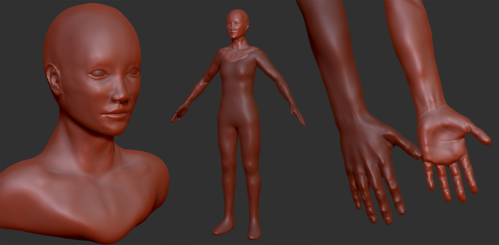 Sculpts for hands and head done in detail, the rest of the body is just a rough block in for what will be used in Marvelous Designer later.