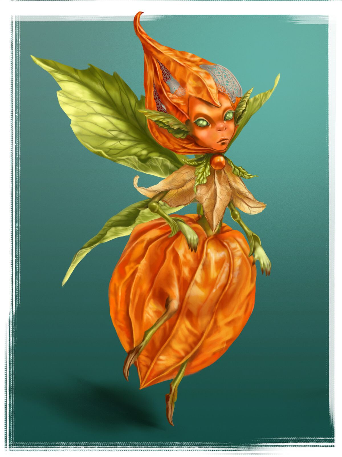 Physalis Dryad Fairy