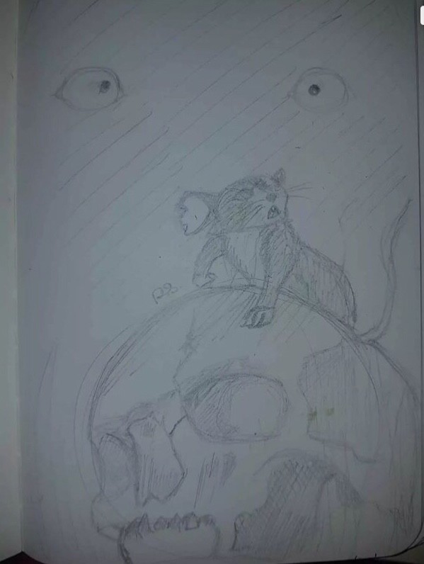 sketch (pencil)