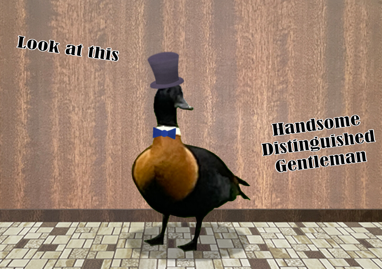 A Handsome Distinguished Gentleman