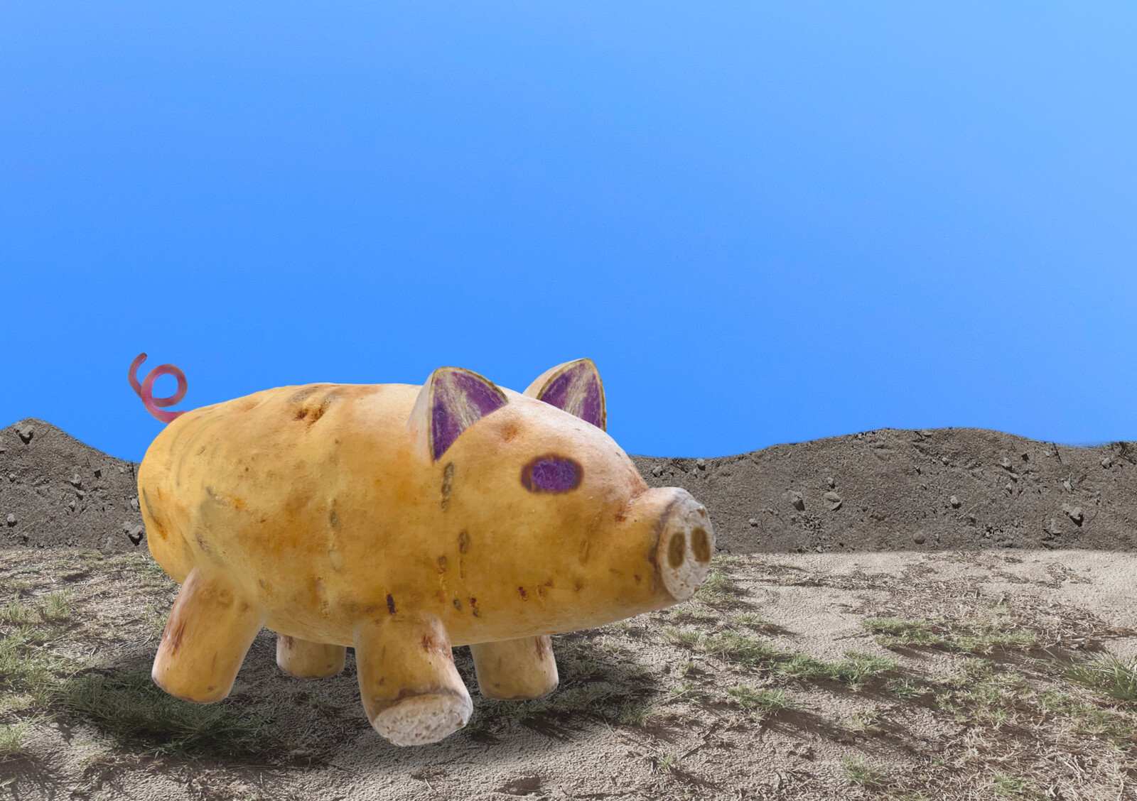 PotatoHog