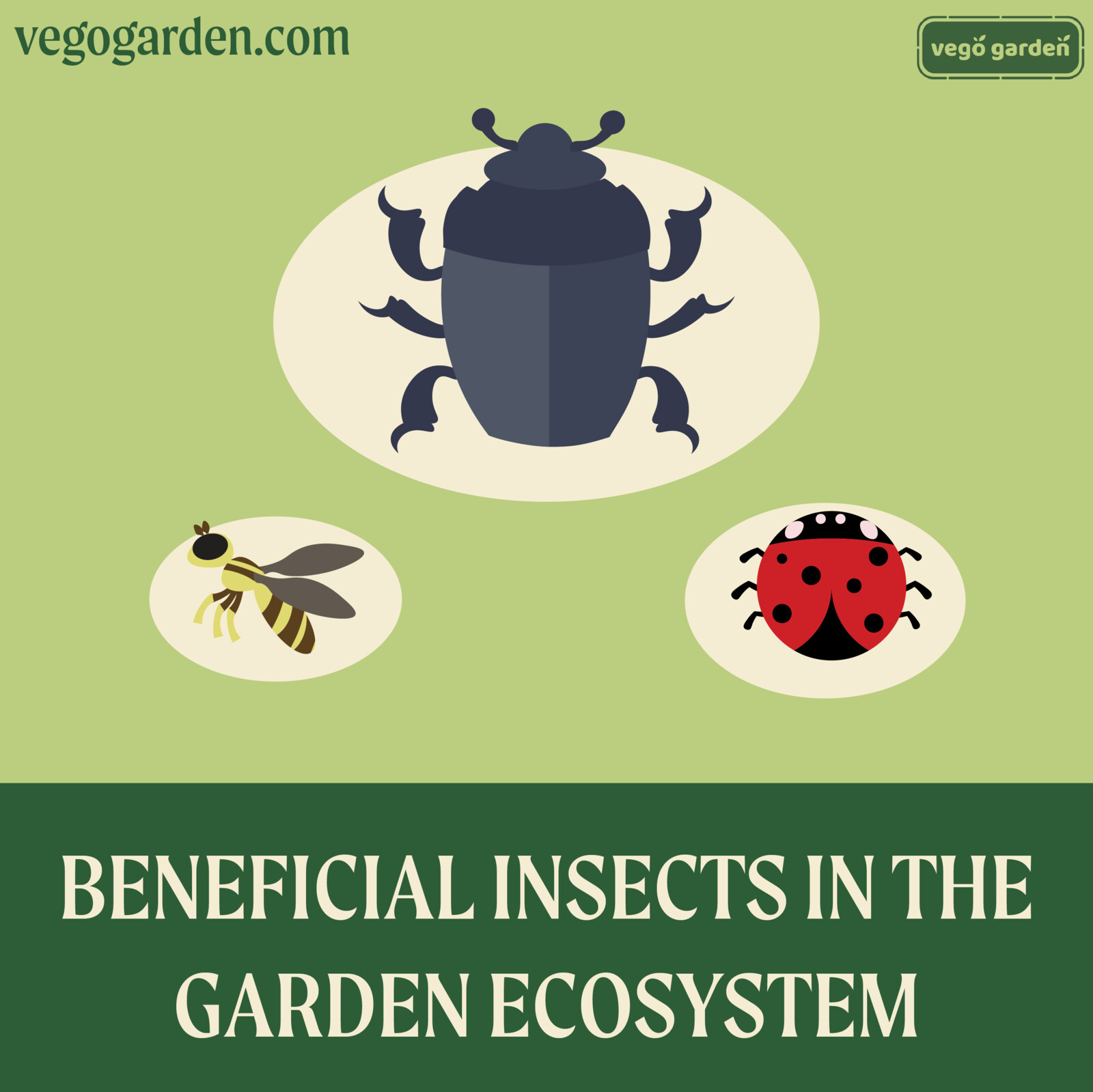 Beneficial Insects 