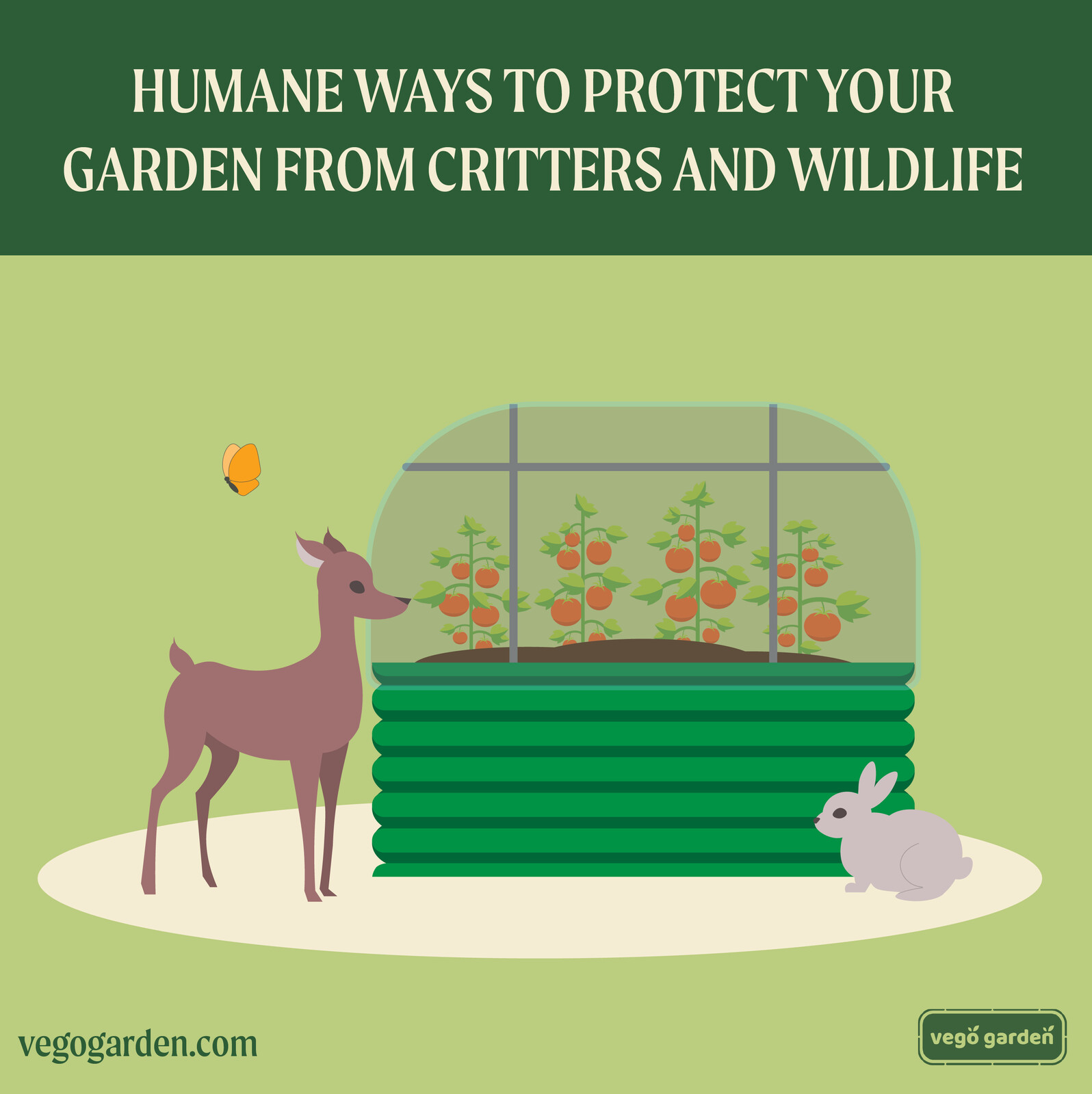 Protect Your Garden From Critters