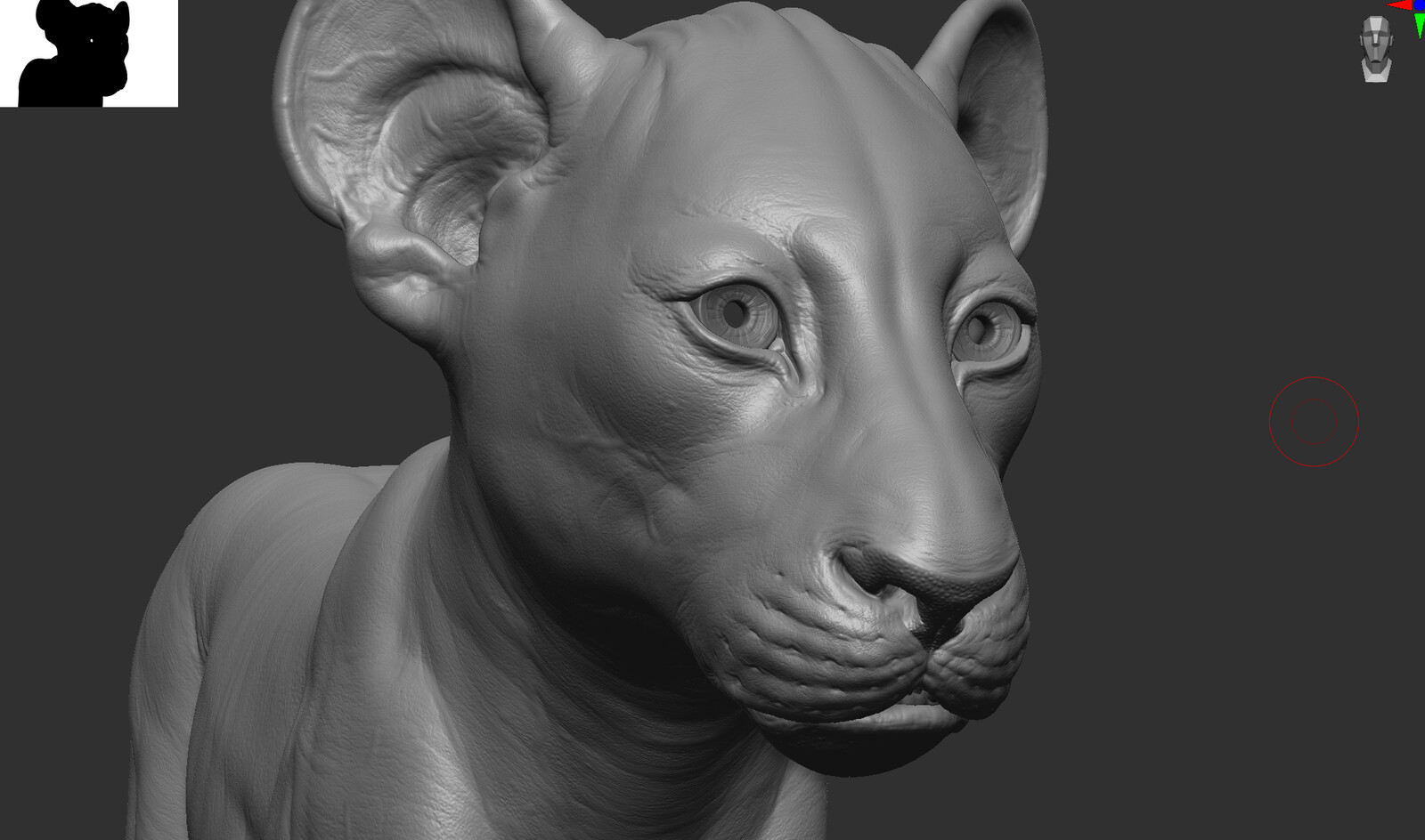 ZBRUSH