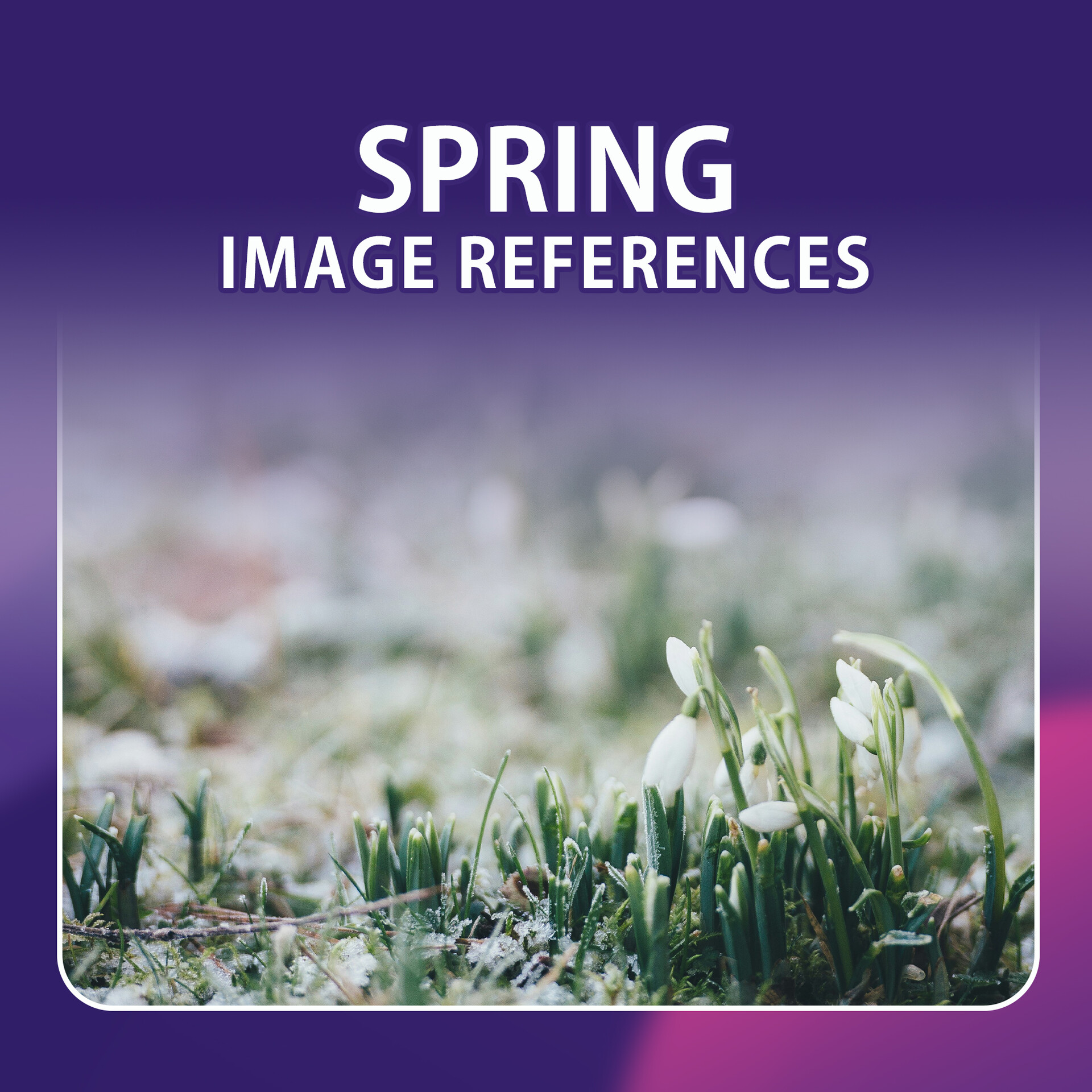 ArtStation - 400 Spring Image Reference – Vol 1