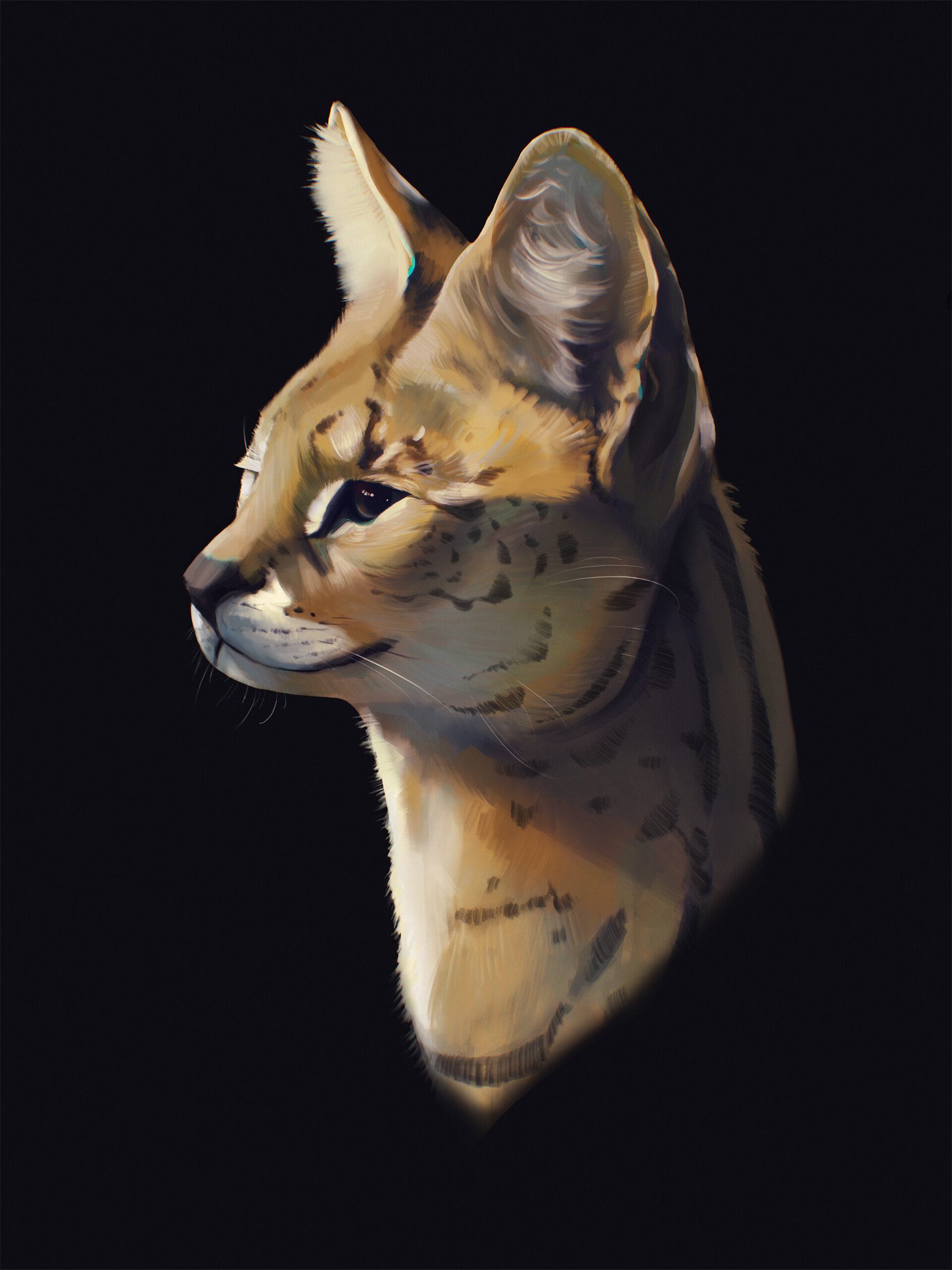 Serval Portrait