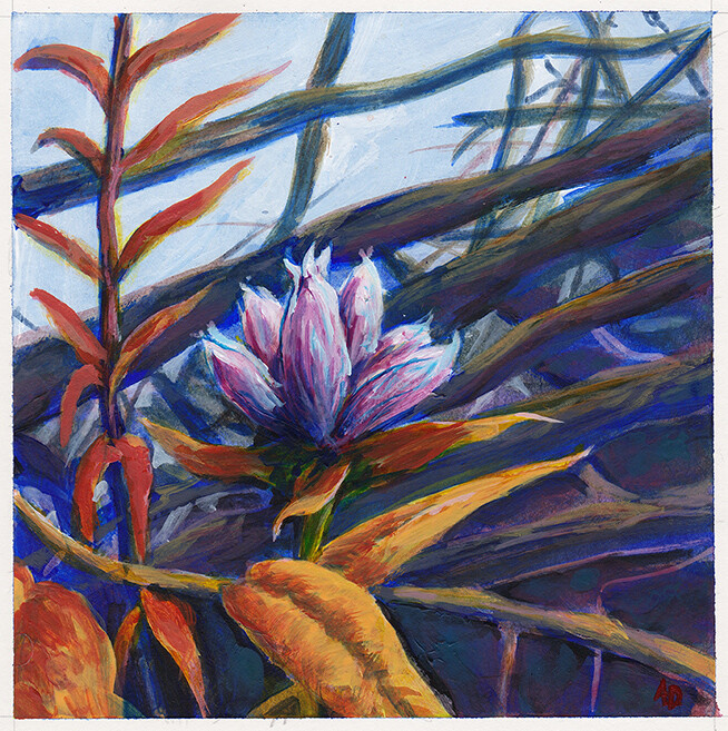 Mountain Flower