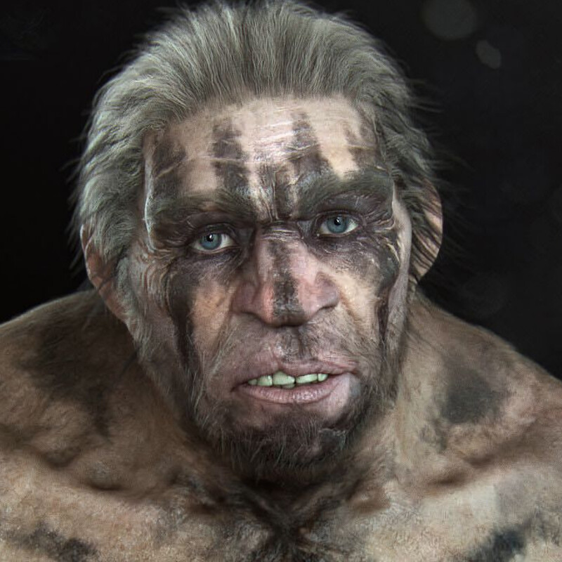 Neanderthal study