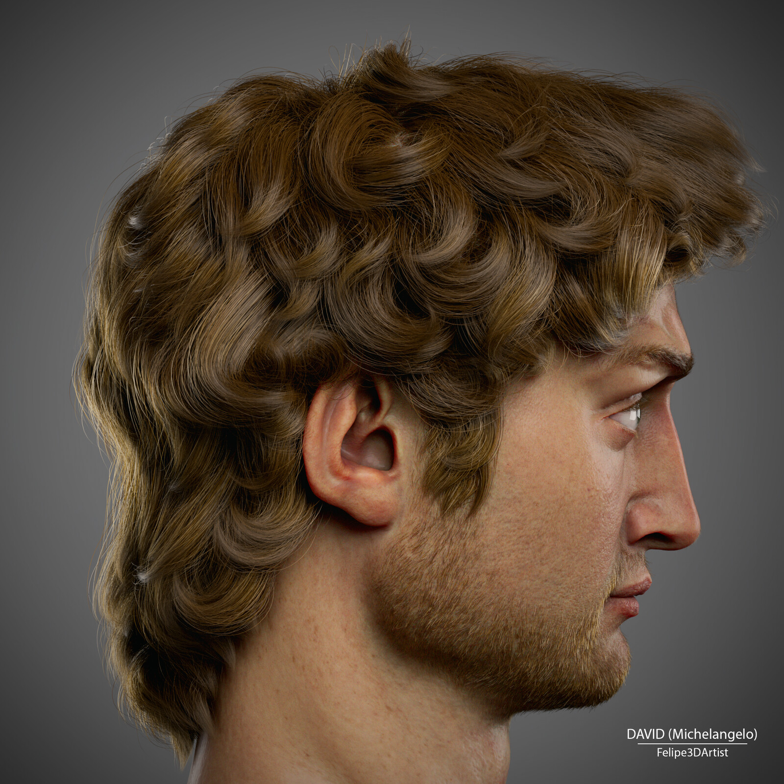 Realistic David (Michelangelo) 3D Rendering