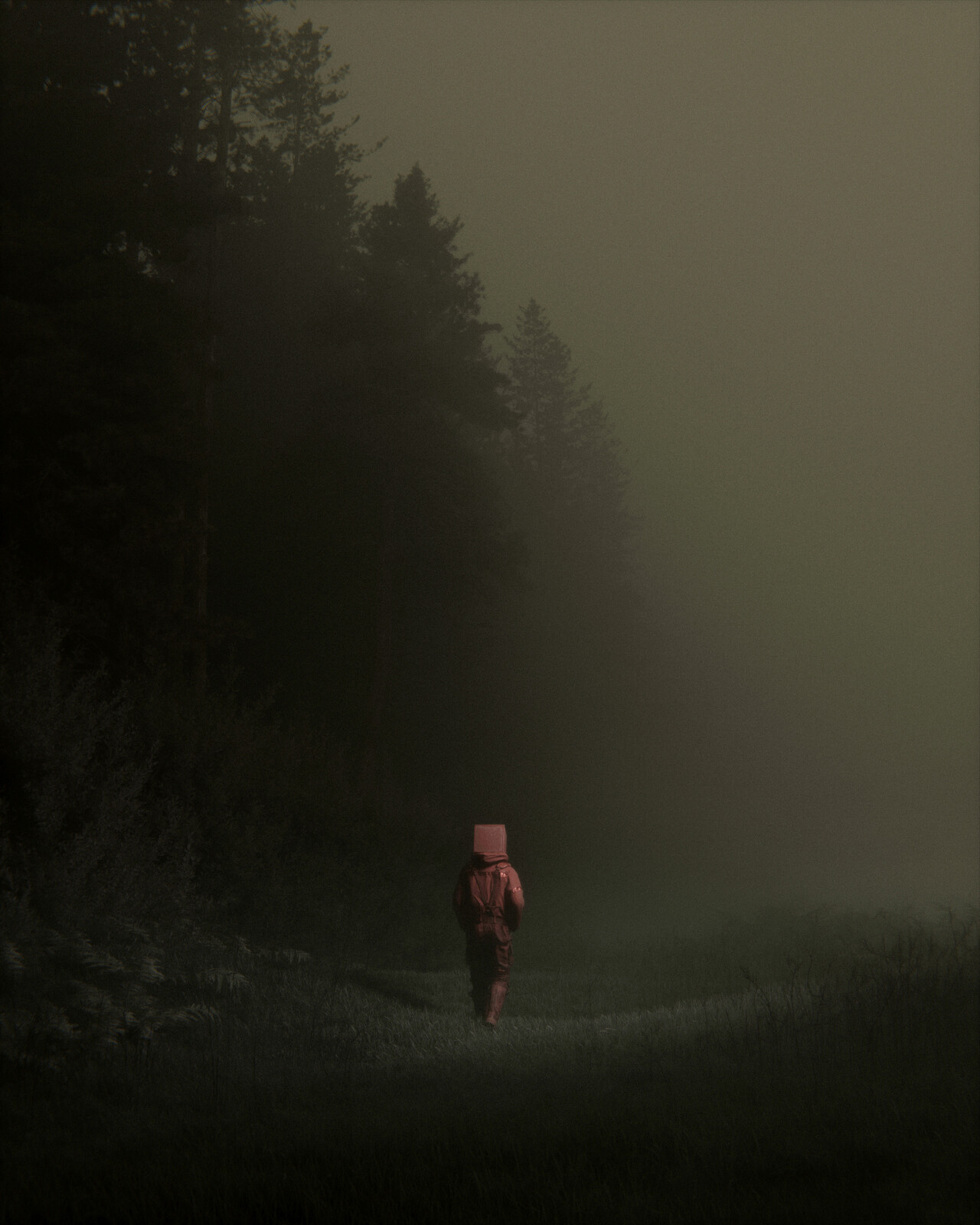 along the forest line