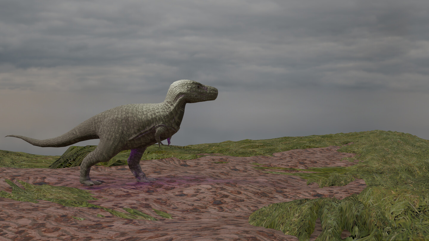 texturing environment