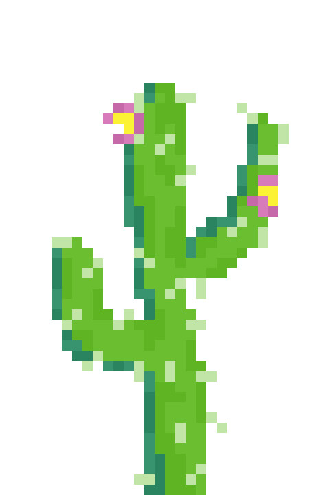 Cactus