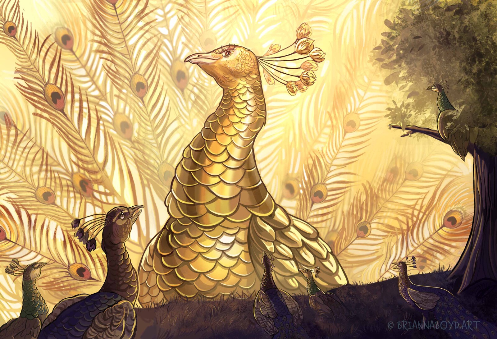 The Golden Peacock- Personal Work