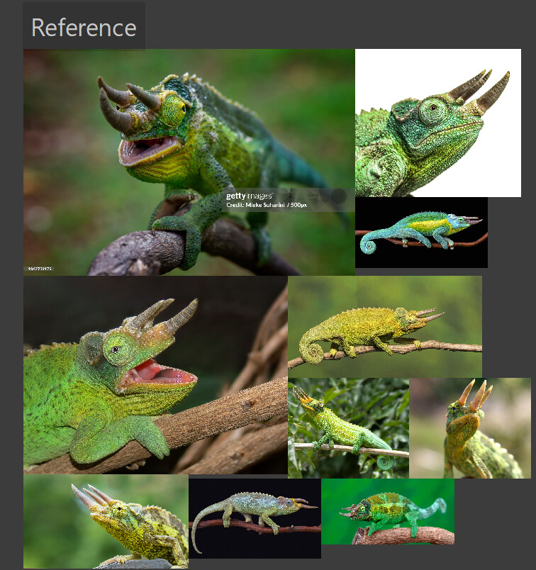 Reference