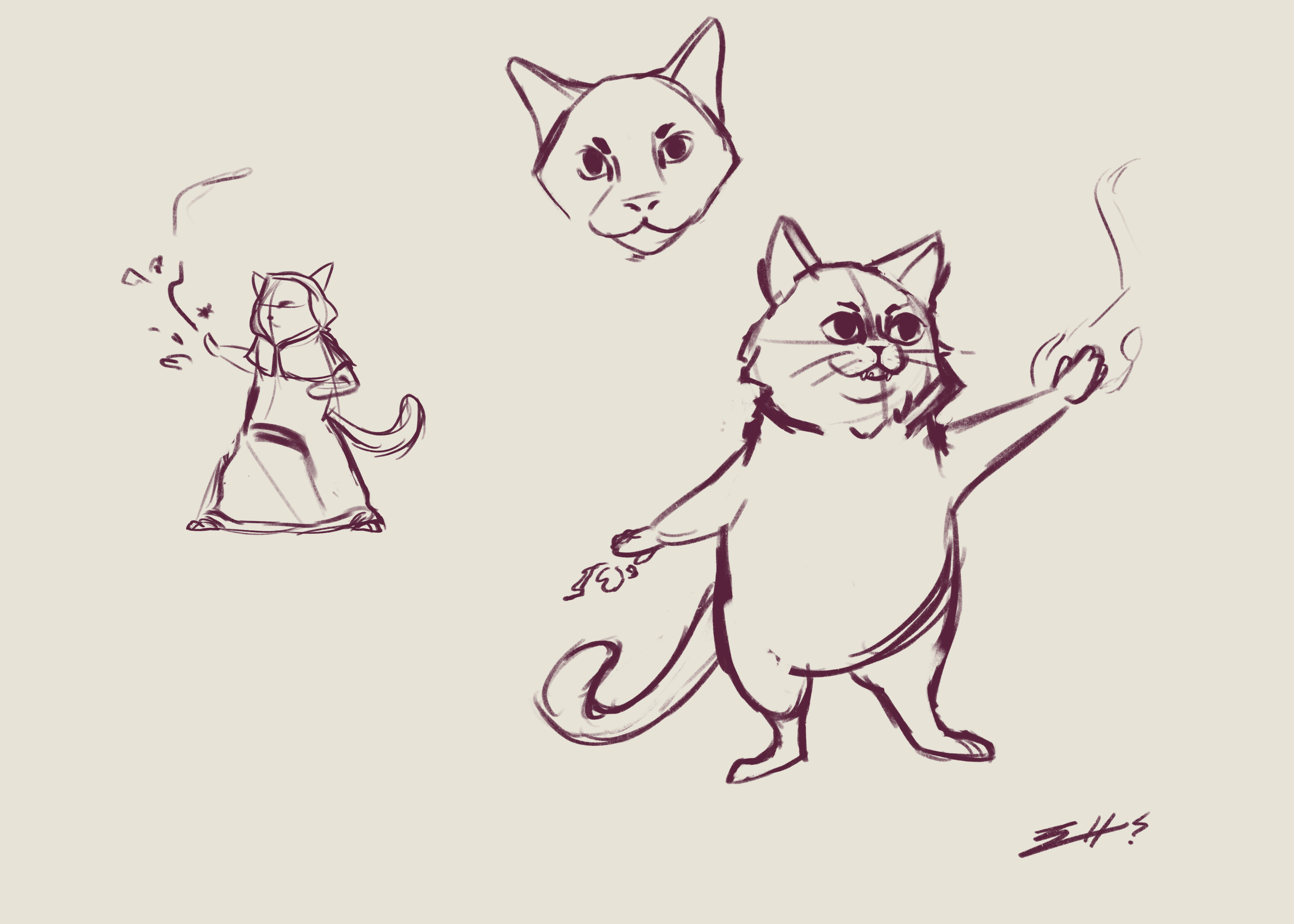 Early Sketches