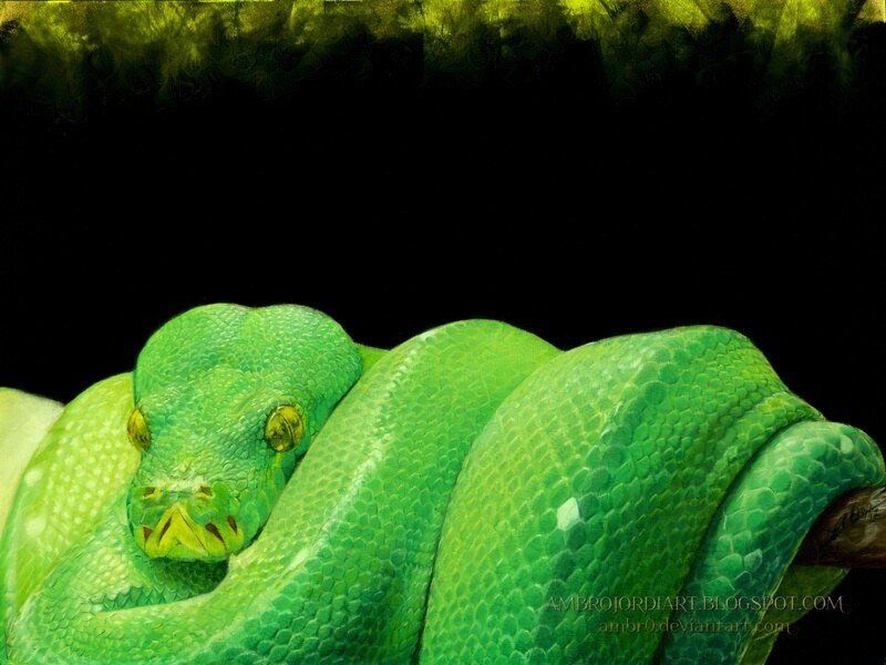 ArtStation - Green Tree Python Drawing