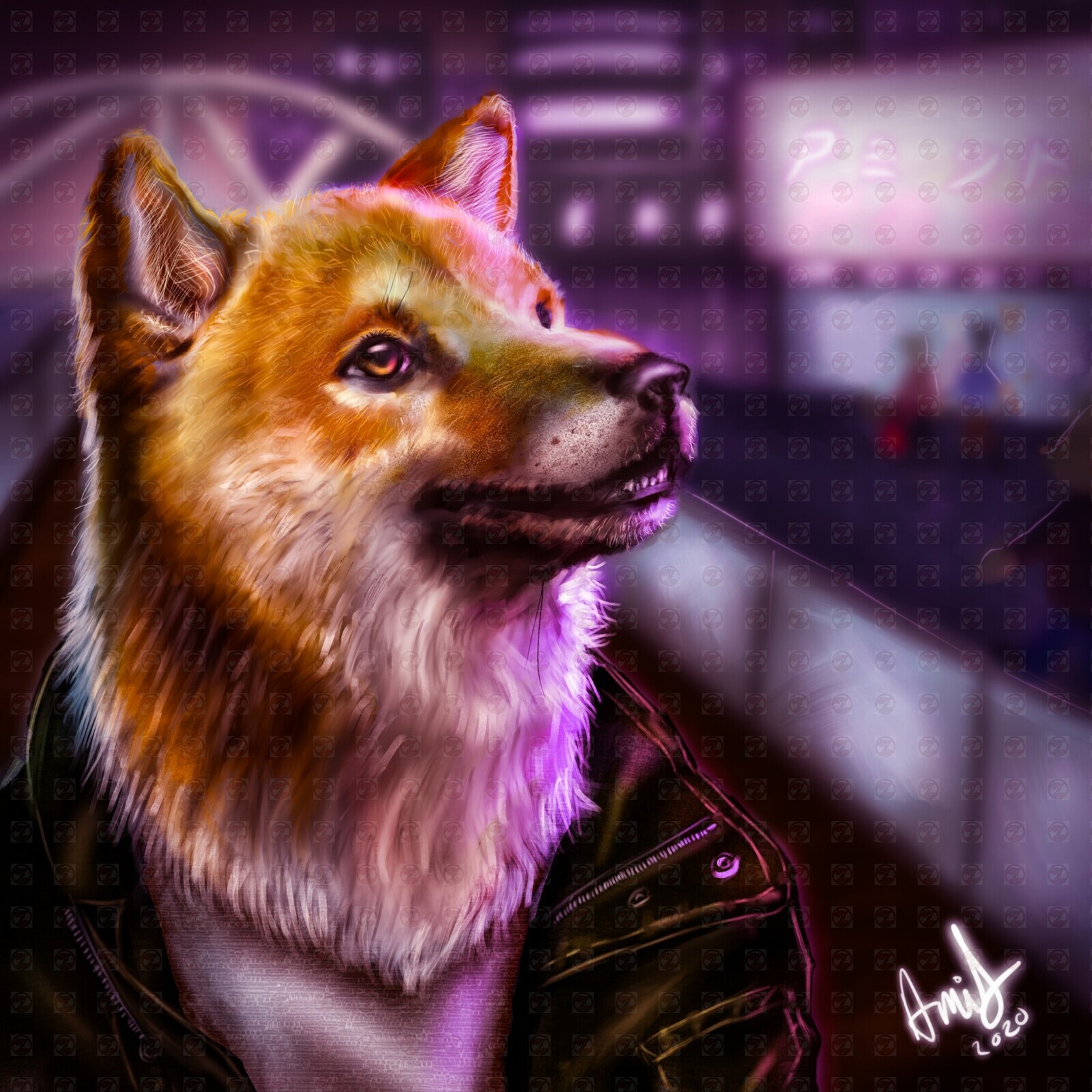 A dog in the city