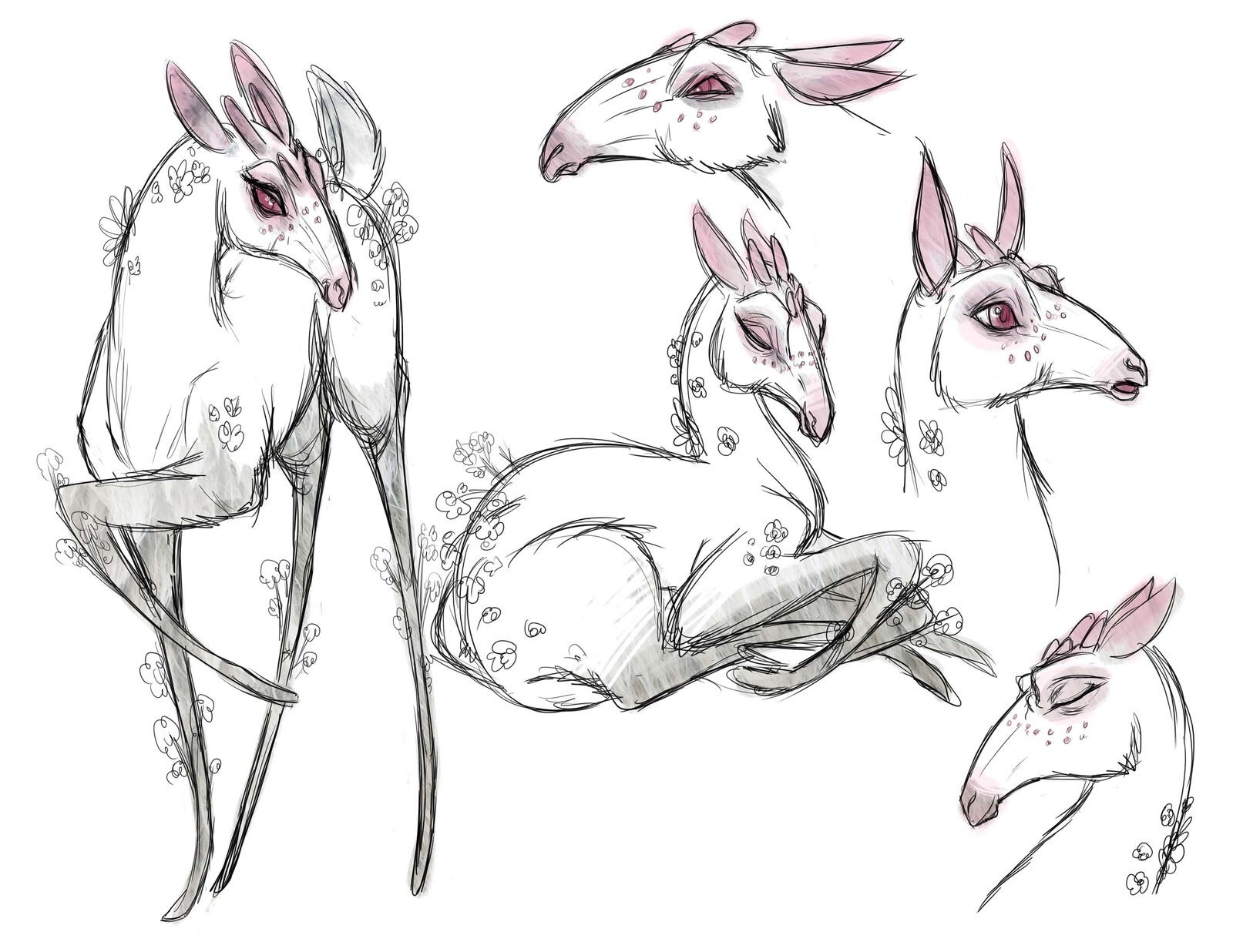 Creature Sketch - The Doe