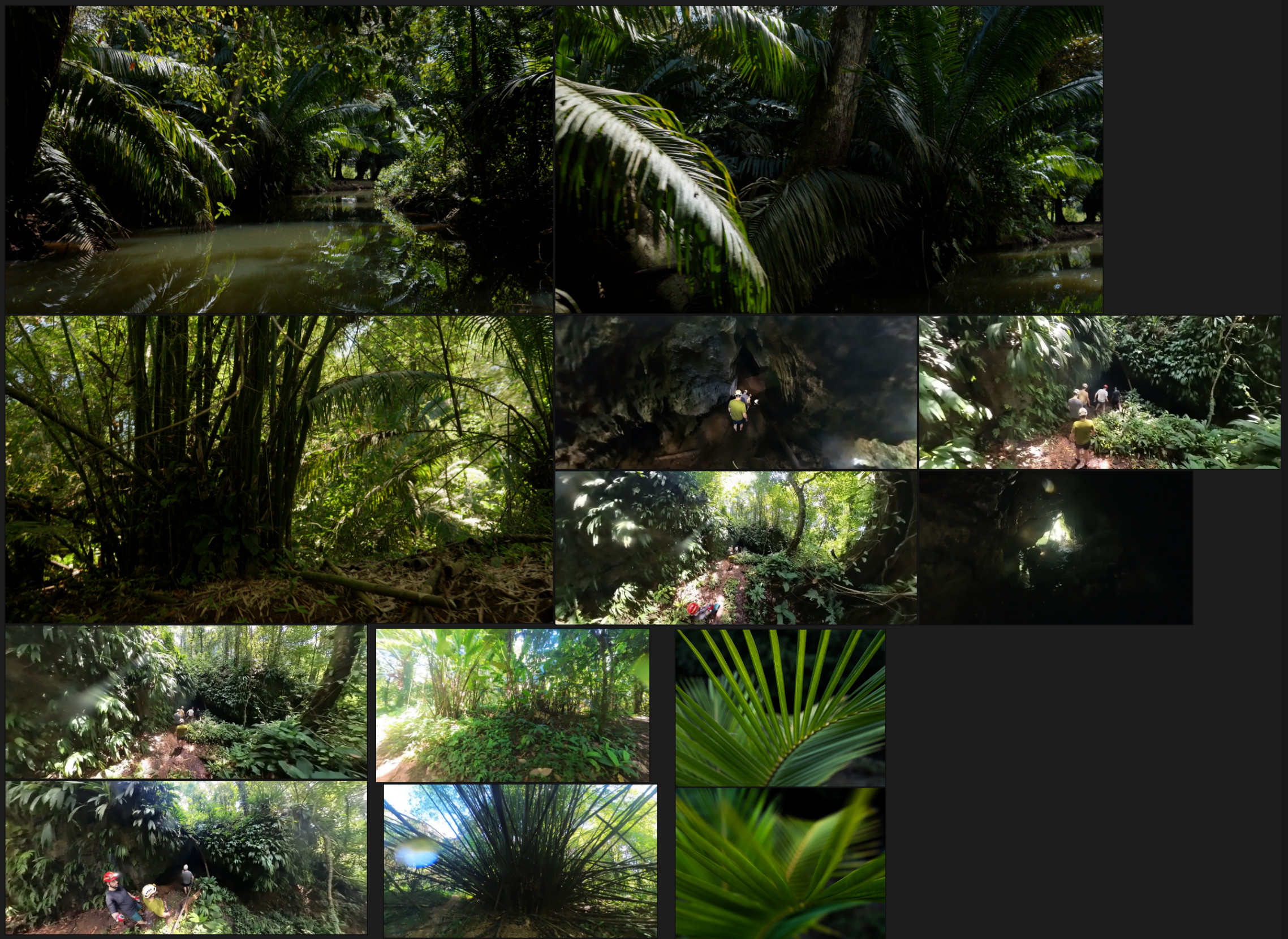 Reference of the cave mouth and plant life.
